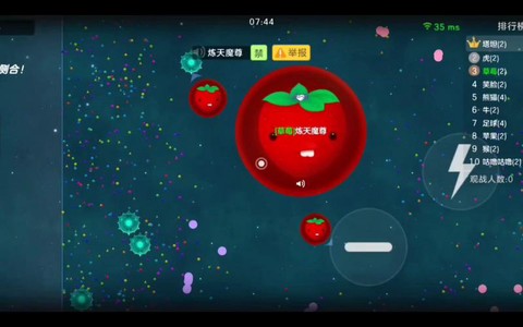 球球大作战怎么弄青蛙[图1]