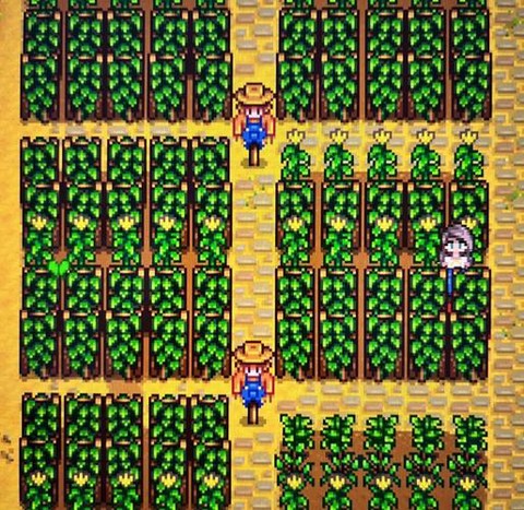 星露谷物语花盆怎么用[图2]