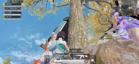 绝地求生开车怎么开枪[图1]