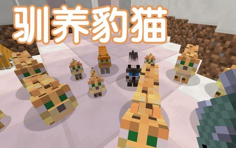 我的世界豹猫怎么养[图1]