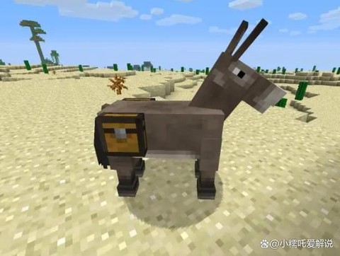 我的世界马吃什么食物