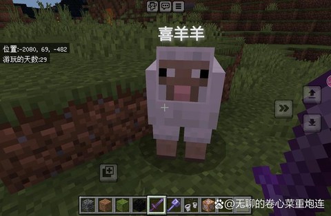 我的世界中羊吃什么[图1]